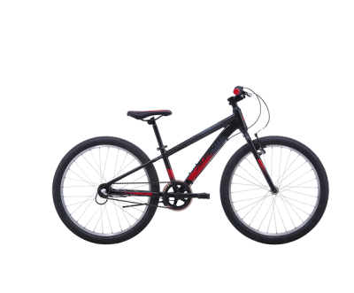 avanti thunder bike